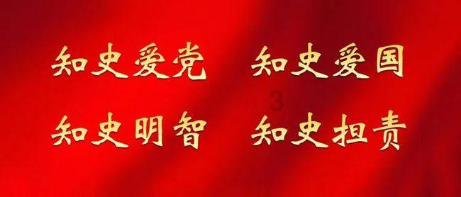 救援狗与猫